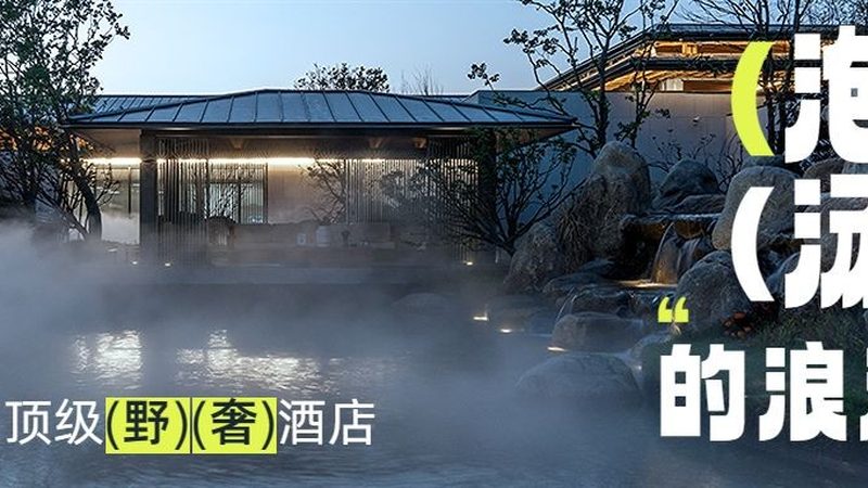 旅行社出境游报价表更新频率